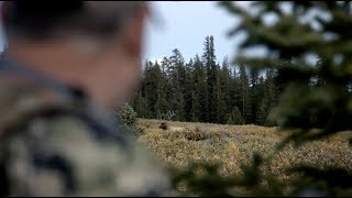 Wyoming Elk Hunt Day 1  The quotLinguistsquot Rough Cuts [upl. by Tuttle]