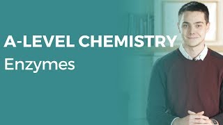 Enzymes  Alevel Chemistry  OCR AQA Edexcel [upl. by Kotz]