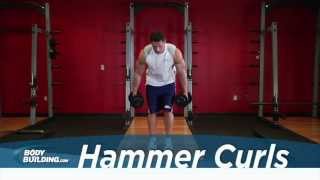 Hammer Curl  Biceps Exercise  Bodybuildingcom [upl. by Leirraj]