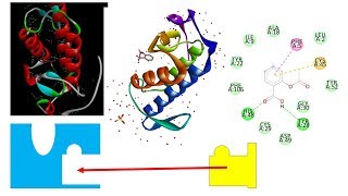 Drug  Target Docking amp Results Analysis Using PyRx  Vina DS amp PyMol  P1 [upl. by Torosian743]