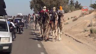 المهرجان الدولي بزعفران ماراطون التناوب مع المهاري Festival international de Zaafrane 2019 [upl. by Goodyear]