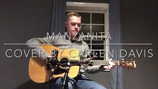 Manzanita Tony Rice Cover [upl. by Enoed]