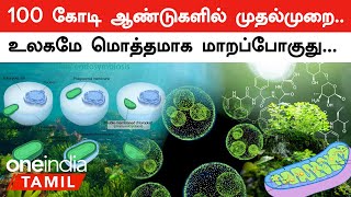 Primary Endosymbiosis in Tamil  உலகில் நடக்கப்போகும் மிகப்பெரிய மாற்றம்  Oneindia Tamil [upl. by Yesrej]