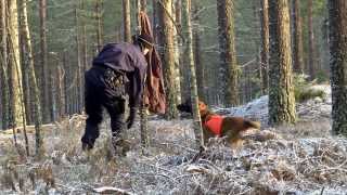 Polisens vardag  Fredrik hundförare i Karlstad [upl. by Summer]