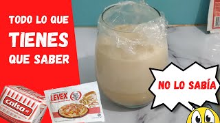 ✔🥖COMO usar la LEVADURA SECA INSTANTANEA como ACTIVARLA la GUÍA COMPLETA 1 💥❗ [upl. by Kienan]