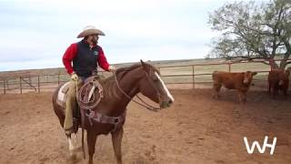 Working Ranch Horses [upl. by Nittirb]