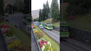 Le train à la montagne Villars sur Ollon Suisse villarssurollon [upl. by Lund29]