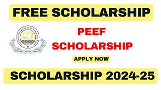 PEEF Special Education Scholarship for Intermediate and Graduation 202425  Special Quota [upl. by Dinin]