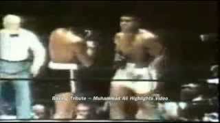 Boxing Tribute  Muhammad Ali  Highlights Video ★★★★★ [upl. by Ttoille]