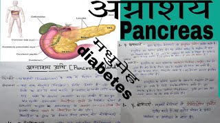 pancreatic gland  pancreatic gland in hindi  agnashay granthi  अग्नाशय ग्रंथि  diabetes [upl. by Ellekim929]