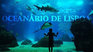 Lisbon Sea Aquarium Portugal Full Tour in 4K [upl. by Ekaterina426]