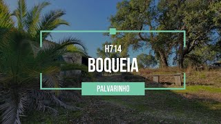 🌲🗝️ €29500  Fantastic rustic property with 2 hectares to start your off grid life  H714 Boqueia [upl. by Wasson146]