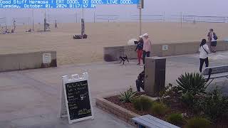 Hermosa Beach Good Stuff Strand Cam Live Camera Stream from Southern California [upl. by Nancee]