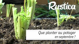 Que planter au potager en septembre [upl. by Arremat]