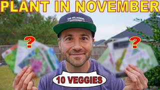 10 Veggies You Can STILL Plant In November For A Beautiful Fall Garden [upl. by Nikral168]