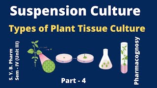 Suspension culture Types of Plant tissue culture I Hindi [upl. by Jarlen]