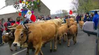 Transhumance Aubrac1 2013 [upl. by Ecnaiva898]