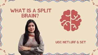 WHAT IS SPLIT BRAIN  BRAIN  BIOLOGICAL BASIS  NETGATEUPSCCUETMPHIL PSYCHOLOGY [upl. by Analah884]