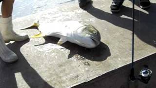 boynton inlet fishing 2 [upl. by Erasmo425]