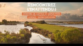 Rencontrez linattendu sur le Domaine de Certes et Graveyron [upl. by Aldus]