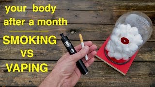 How Smoking vs Vaping Affects Your Lungs ● You Must See This [upl. by Lacee]