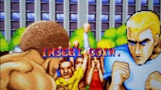 Use HLSL to make MAME look good on a nonCRT [upl. by Hale347]