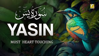 Worlds most beautiful Quran recitation of Surah Yasin Yaseen سورة يس  Zikrullah TV [upl. by Kooima]