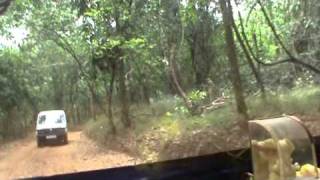 jungle safari at Mahavir Wildlife sanctuary towards dudhsagar GOAMPG [upl. by Enert871]