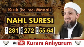 281 Kırık Manalı Nahl Sûresi 5564  Kuranı Anlıyorum [upl. by Aerdnahs]