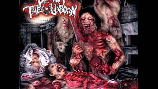 Devour The UnbornDissected Inhumation [upl. by Fachanan]