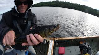 Cabonga Reservoir Walleye Fishing RIP Dad [upl. by Labors]