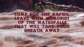 Waterfalls of Grand Canyon during a Grand Canyon Rafting Trip with Arizona Raft Adventures [upl. by Guy]