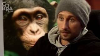 Matthias Schoenaerts narrating the Flemish version of Chimpanzee Disneynatures documentary [upl. by Ancell]