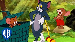 Tom amp Jerry em Português  Brasil  Jerry e Seus Amigos  WB Kids [upl. by Cooperstein]