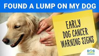 Found a Lump on My Dog and Other Bad Signs  David Vail DVM MS Dip ACVIM Oncology [upl. by Ajnotal174]