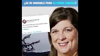 ¿Se ve horrible pero se puede limpiar [upl. by Belinda]