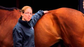 How To Body Condition Score Your Horse  Loin [upl. by Aihsetel]