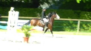 Cadifor Apache  Julie Valade 2nd du GP des 7 ans de Pompadour 2016 [upl. by Nigel]