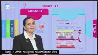 Biologji 12  Ndërtimi i muskujve dhe mekanizmi i tkurrjes së tyre [upl. by Ynnos]