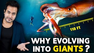 Why Are SEA CREATURES Evolving into Giants [upl. by Oremodlab]