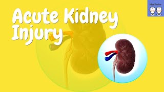 Acute Kidney Injury Pathophysiology Prerenal AKI Intrarenal AKI Postrenal AKI [upl. by Hallock]