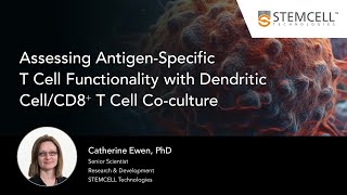 Assessing AntigenSpecific TCell Functionality with Dendritic CellCD8⁺ T Cell Coculture [upl. by Lira]