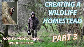 Wildlife Homestead Pt 3 and Photographing Greater Spotted Woodpeckers [upl. by Adehsor]