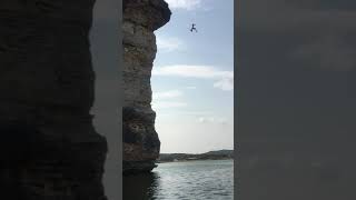 Hells gate cliff jump Highest jump possum kingdom lake 90ft [upl. by Hobard]