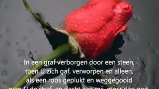 Lied Meer dan rijkdom met tekst [upl. by Darcee]