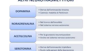 7 Neurotrasmettitori e recettori [upl. by Frieder]