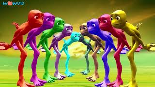 Top 10 colorful frogs dancing to fun music  alien dancewowvid [upl. by Lynnett967]