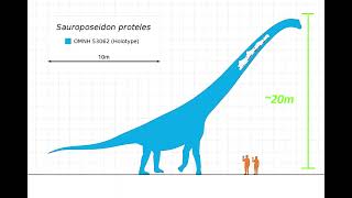 Sauroposeidon the tallest dinosaur ever [upl. by Nnylirret]