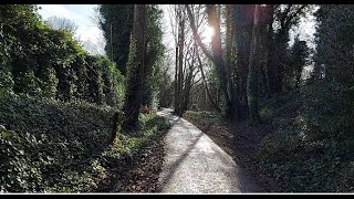 Harborne Nature Reserve and Edgbaston Reservoir  Birmingham England  January 2022  4K [upl. by Watanabe924]