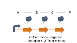 Regulation in Biosynthetic Pathways [upl. by Deming661]